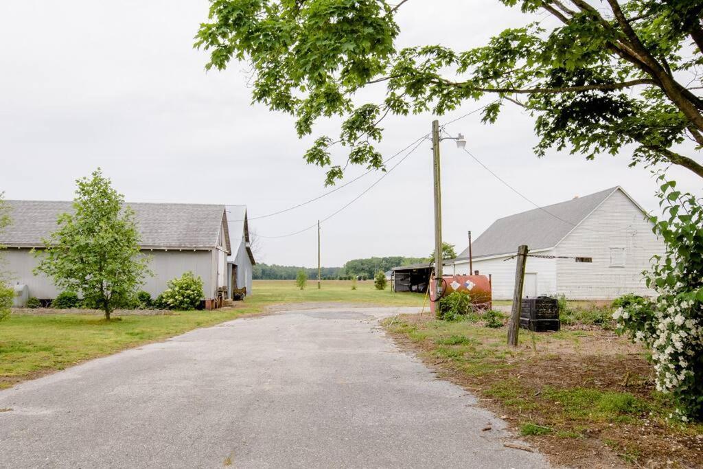 Mt. Hermon Farm Apartment Salisbury Exterior photo