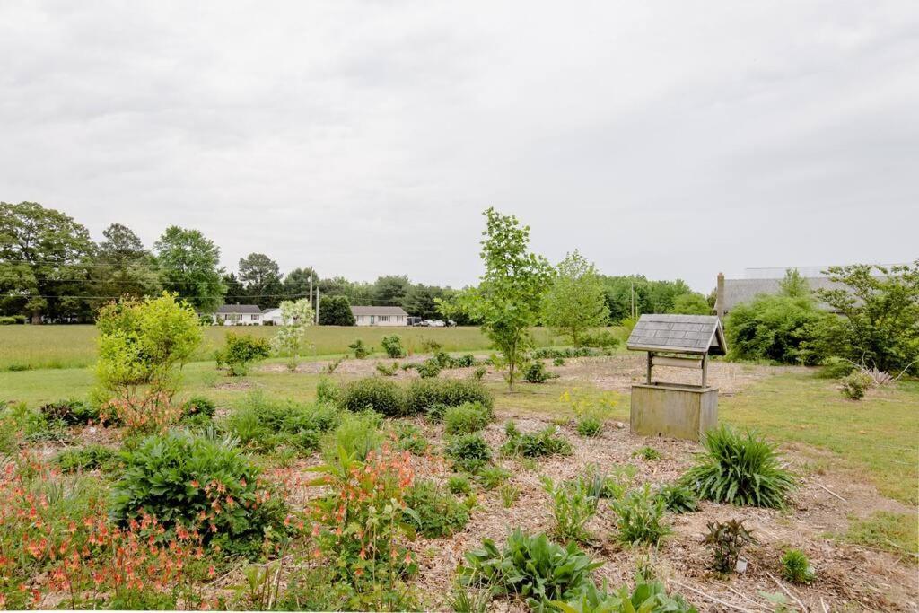 Mt. Hermon Farm Apartment Salisbury Exterior photo